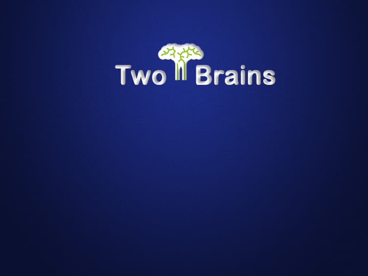 An image of the Two Brains: Illuminati-D2.1 project.